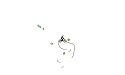 Auto short race