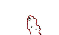Auto That You Can't Cheat
