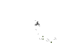 Little sticks