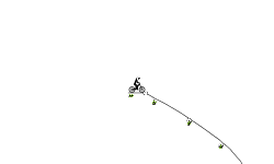 Cliff Jumps