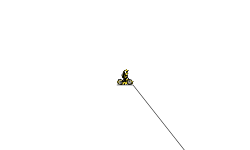 very long