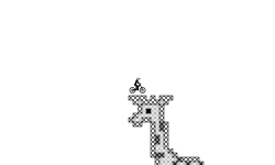giraffe contest winner