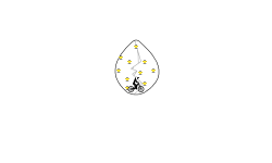 The Golden Egg