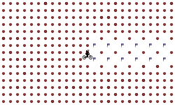 Win 1000 COINS