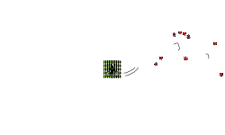 Secret Code :
