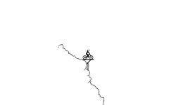 Jumps 2