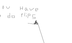 DO FLIPS!!!!