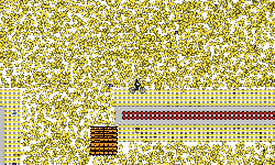 20000 stars!!! (WR)