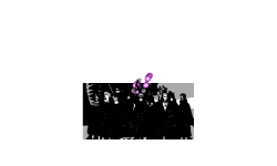 The Akatsuki Is Now Assembled