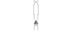 Short Auto