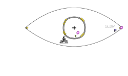 eye