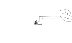 race