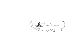 BMX vs MTB