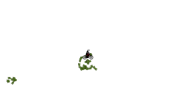 when your beyblade goes 100%