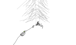 The descent