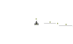 Bungee Jumps