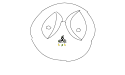 Just a face