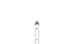 Downward tube