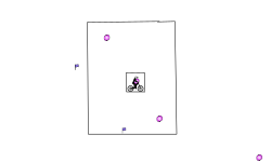 box box box