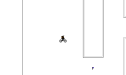 Copter bird