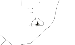 0.00.00 seconds