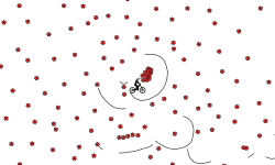 Infection