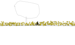 1000 stars