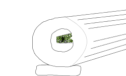 Cannon time