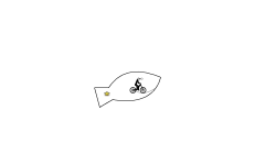 Goldfish