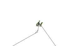 fun fly guy