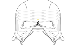 Kylo Ren
