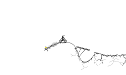 Rocky Terrain
