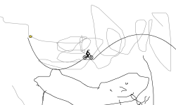 boy dog