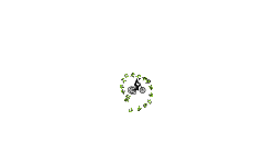 Slingshot