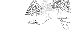 detailed wood open forest