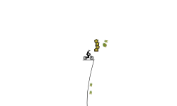 the