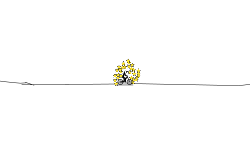 Star Halfpipe