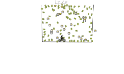 GRAVITY HALL