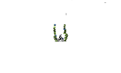 short auto