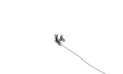 Yeet