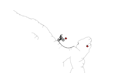 Mountain Wheelie (Collab)