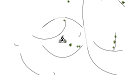 the maze