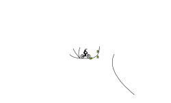 Auto track v2