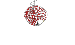 red apple