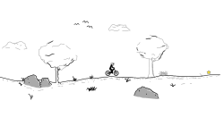 Short Forest Scenery