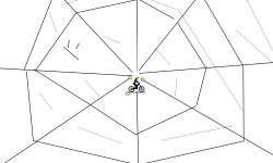 spider web