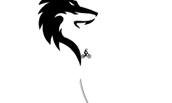 Shadows(part 1-wolf)