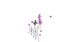 Portal CHaos