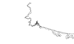 El Cerdo