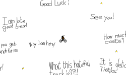 nonsense fly
